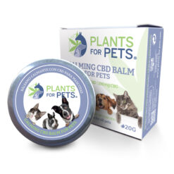 CBD CALMING BALM FOR PETS 20G